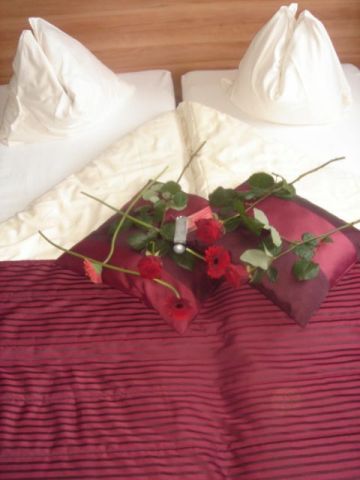 Hotel Scheepers
